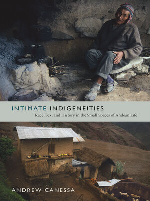 cover image of Intimate Indigeneities
